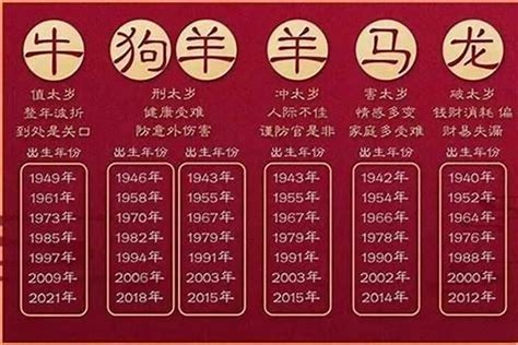 2002年 生肖|2002年1月出生属什么生肖